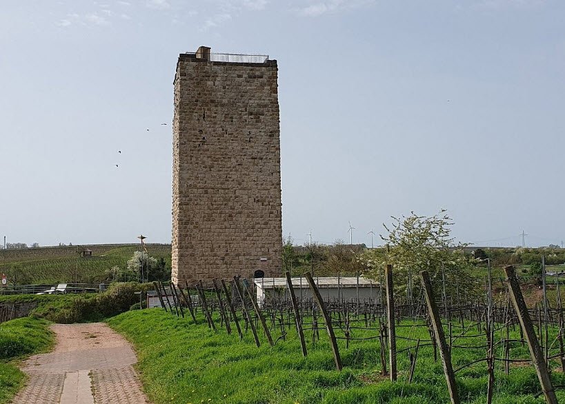 Schloßturm Schwabsburg, Nierstein, Germany, Germany